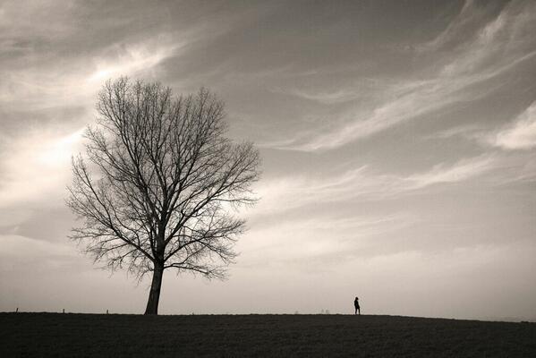 산티아고는 어디로든 갈 수 있는 바람의 자유가 부러웠다
그러다 문득 깨달았다
자신 역시 그렇게 할 수 있으리라는 사실을..
떠나지 못하게 그를 막을 것은
아무것도 없었다
그 자신 말고는... <연금술사> 중에서