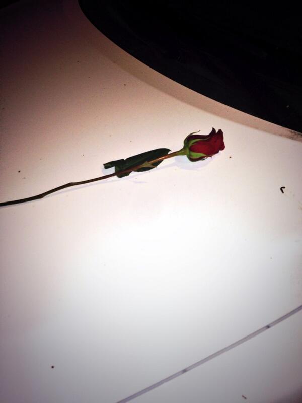Thank you to whoever put a rose on my car, it made my night ❤️