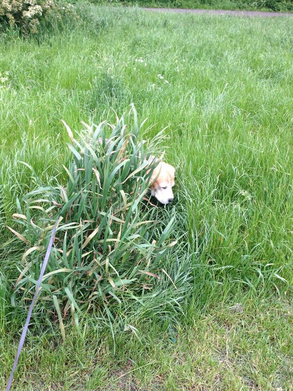 Could I have some privacy here please !! 😳