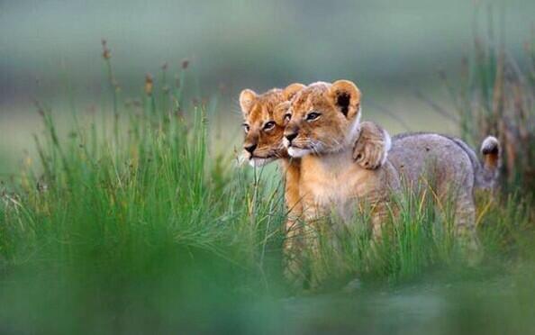 Friends Forever.
