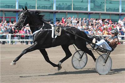 Allt om höstarna i elitloppsförsök 1: hastmagazinet.com/newsItem.aspx?… Försök 2: hastmagazinet.com/newsItem.aspx?…