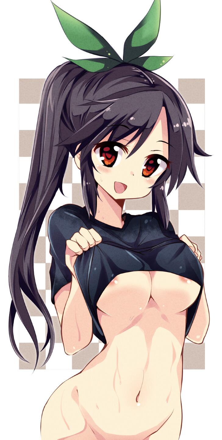 二次元 乳輪おっぱい エロ  / X