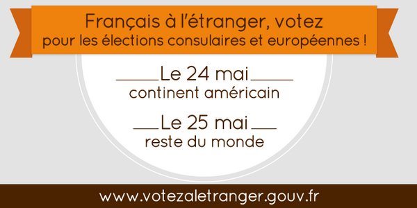 francediplo's tweet photo. Français à l'étranger, le 24 ou le 25 mai, votez pour les #européennes2014 et #consulaires2014 ! #ouijevote #EP2014 http://t.co/rz1nwsNZ1m