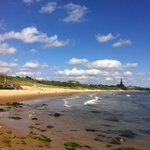 Photo by Jane Pickthall (@NTvirtualschool)