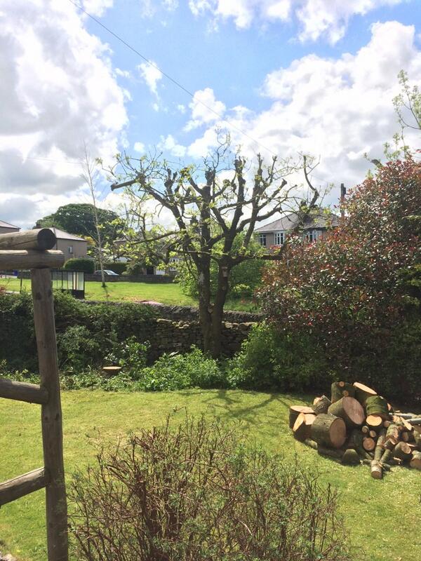 Cedar tree gone. Thanks to <a href="/pmhtreesurgeons/">Paul Hodgson</a>. Very tidy job. Good work fellas.