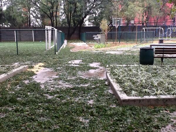 MsMeekersClass's tweet image. Sunday we had a hail storm.  When we came back there was hail in the ground and leaves.