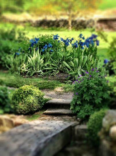 ParcevallHallGardens tweet media