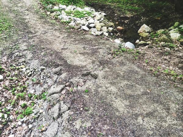 IVcycling's tweet photo. Use caution at #Matthiessen if you go thru the ravine between the Dells Area (north) and River Area (south). http://t.co/e4fpfivOlQ
