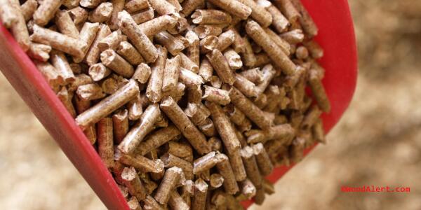 Woodalert's tweet photo. Pellets prices on the downside
http://t.co/NwjxIGPOku
#wood, #pellet, #woodalert http://t.co/4Xgbs9xIaR