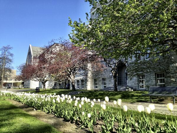 queensu's tweet image. Beautiful morning on campus! Convocation starts tomorrow &amp;amp; we can't wait to celebrate our newest alumni! #QGrad14