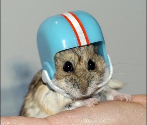 Nein Schwarzen tweet media