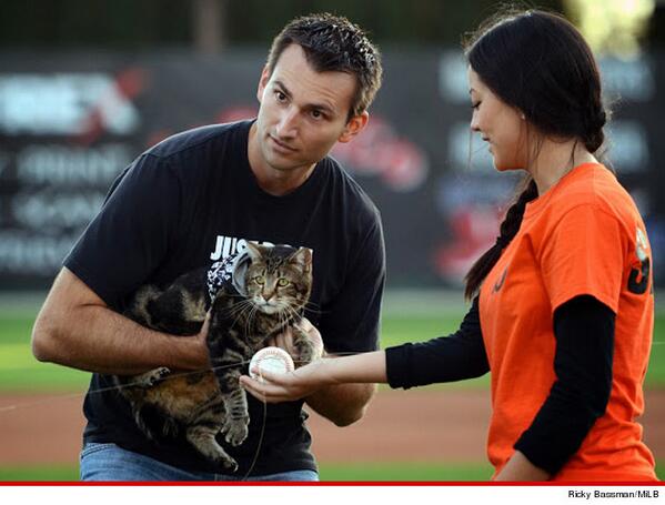 TMZ's tweet photo. Hero Cat &amp; Rescue Boy are baseball stars now http://t.co/QvlI8uKqV1 http://t.co/KNjRzNouzg