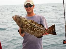 ReallyFakeCurry's tweet photo. Picture of the fish I caught in the courtyard at lunch! #masterfisherman http://t.co/gKQrgtmAgo