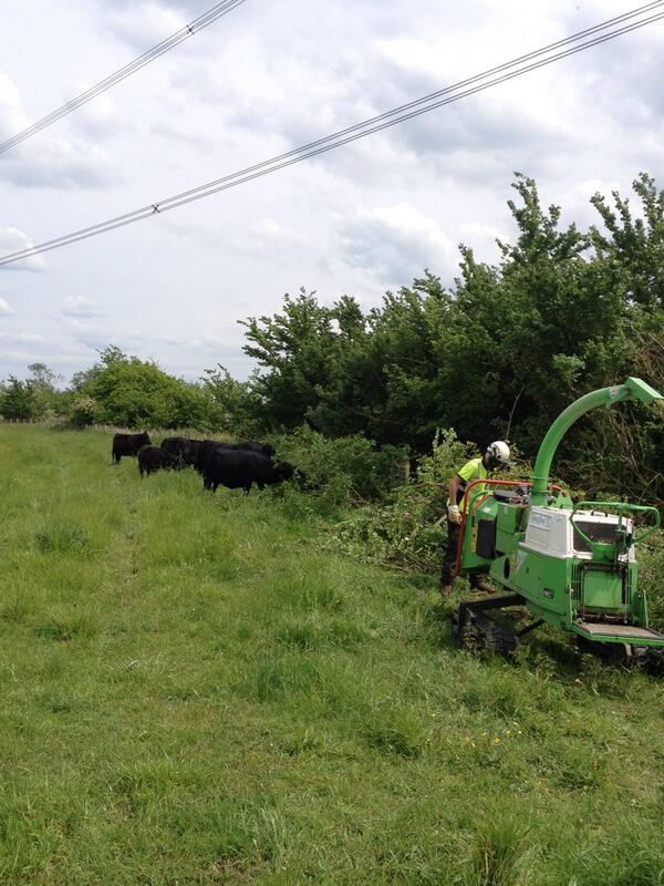 forevergreenlt1's tweet photo. A great day clearing National Grid power lines near Oxford today. Can't complain about it being too hot, but.... http://t.co/ObKsBybORZ