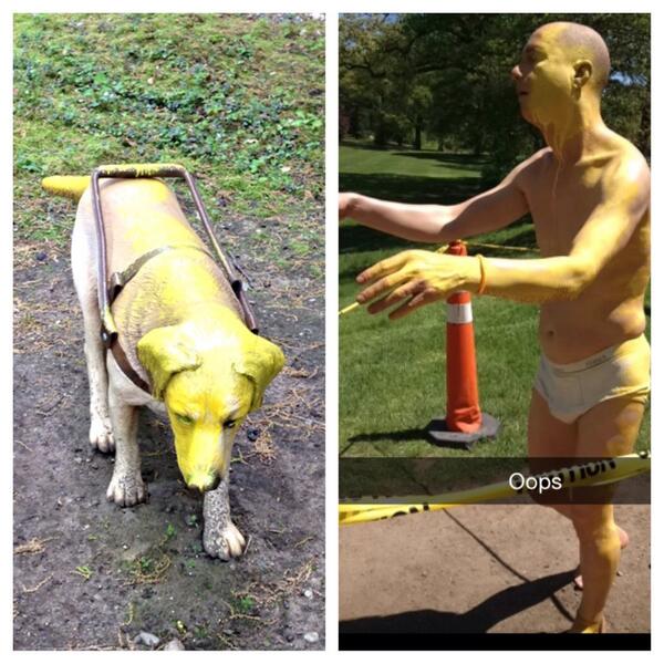 WCSleepwalker's tweet photo. Pooch and I got matching spray tans last night - unfortunately didn't get the glow we were hoping for 😕 http://t.co/J42sUCNZRY