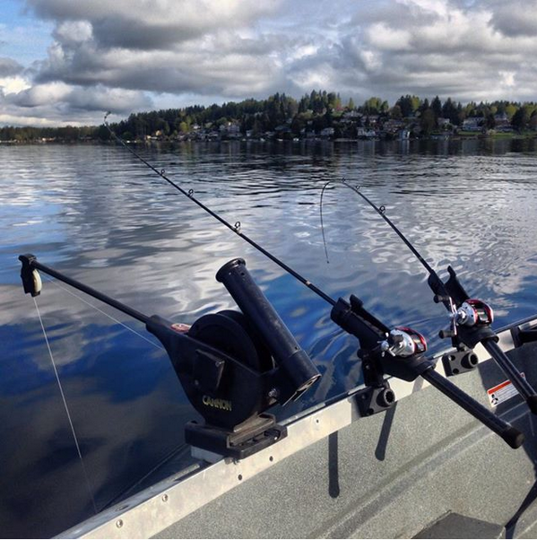 FethaStyx's tweet photo. Brianna Bruce (Livin' Life Adventures) reports great kokanee action in her latest on the blog: http://t.co/85Jz25EG3h http://t.co/J2bIWd26VU