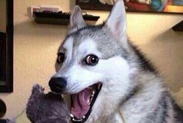 Jad A. Azar tweet media