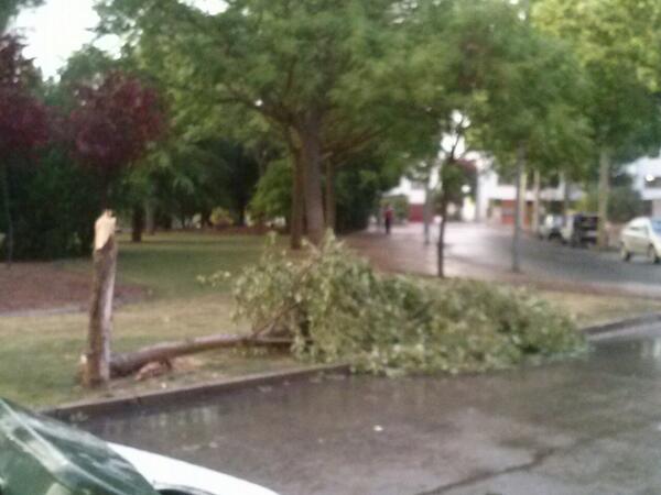 Chary_Vp's tweet photo. @CRenfurecida empiezan a caer# http://t.co/YXb39hjnAs