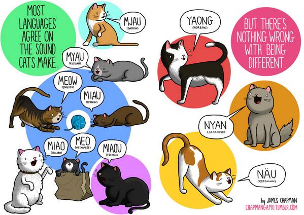 What is cat s name. What is cat s name. Cat female. What is cat s name. How i feel today котик.