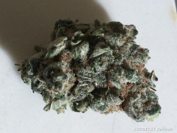 420LLC's tweet image. TT Review: Fried Bananas by NUGGETRY + StrAinZ: reviews.nuggetry.com/buds/fried-ban… #MMJ #StrAinZ #educate #legalizemarijuana