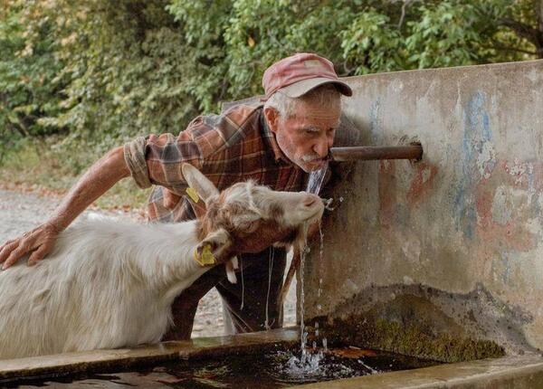 HergunYeniBilg's tweet photo. Güzel yurdumun güzel insanı.. Hayat paylaştıkça güzel. http://t.co/0WJGzMN0Es