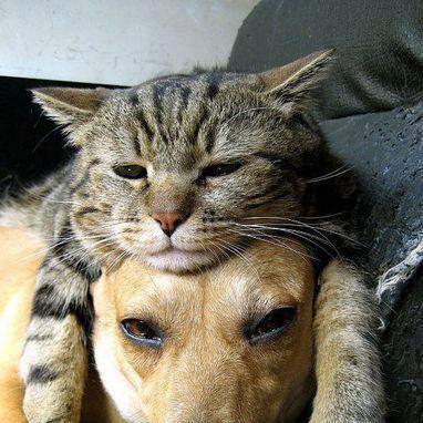 00Frequency's tweet photo. Magicos, os dejo... sed buenos pero no demasiado... que ya se sabe como terminaría todo... zzzz #LHM138 ;P http://t.co/ou7vW8vZ3I