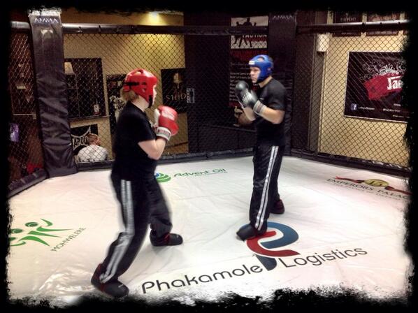 SHIDO Fight Systems tweet media