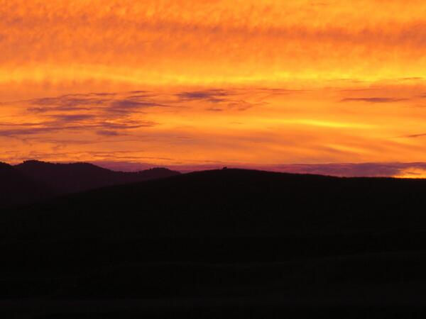 PoronuiNZ's tweet photo. 'Heaven on Earth Day'
Snaps taken during dinner at the Lodge http://t.co/OVNbuPsWL8