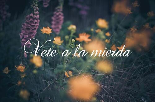 RaiRobledo's tweet photo. Si escribes en cursivas todo queda más romántico: http://t.co/dScQh5SZe9