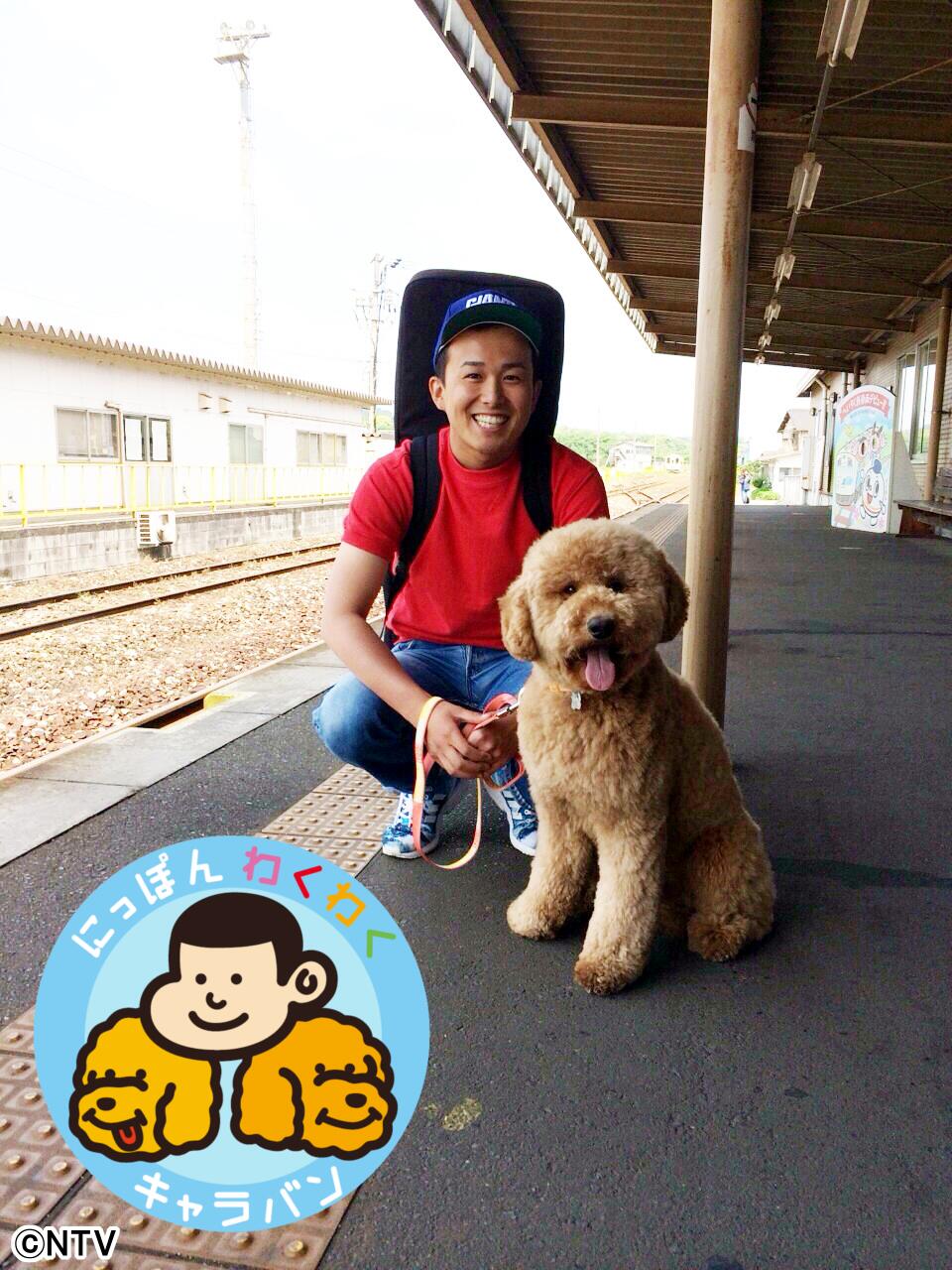 تويتر Zip 日テレ على تويتر ヒロアキ ジジ In 福岡県 きのうは福智町を旅しました かわいらしい平成筑豊鉄道に乗って来たそうですよ にっぽんわくわくキャラバンは7時35分ごろ放送です Ziptv Ntv Http T Co Ru35oyserf