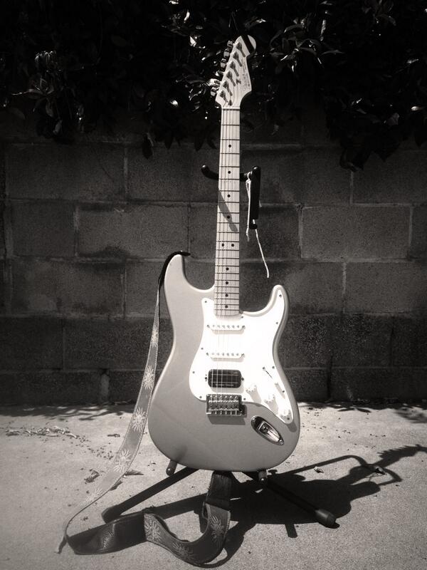 NorthSideDogs's tweet image. Introducing Big Blue to #raindoggs