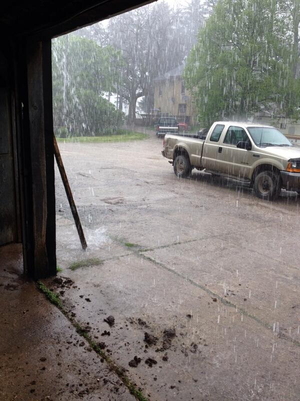Oh look more rain!!! #plant14stillonhold