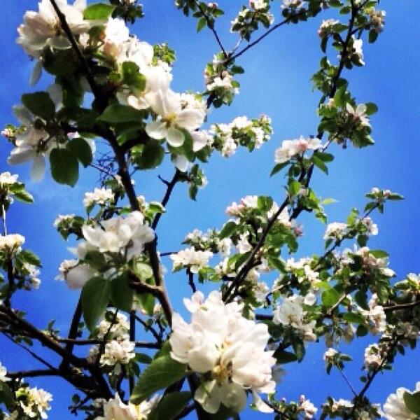 MonicaLise (@monica_lise) on Twitter photo 