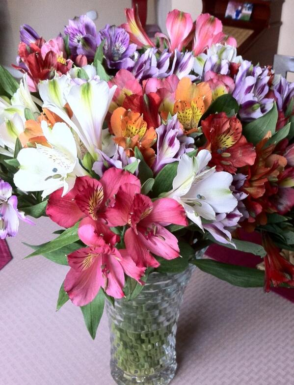 lorie_oconnor's tweet photo. Colorful flowers :)
#springtime http://t.co/H3hMYQ7Byr