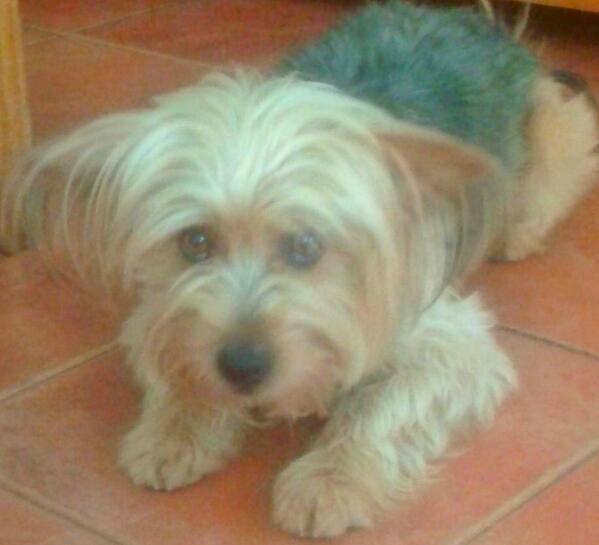 SechuPerez's tweet photo. mii suguitooss ♥ http://t.co/Y45OXUCgnT