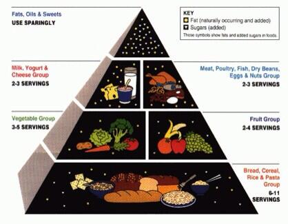 The illuminati is trying to control my diet