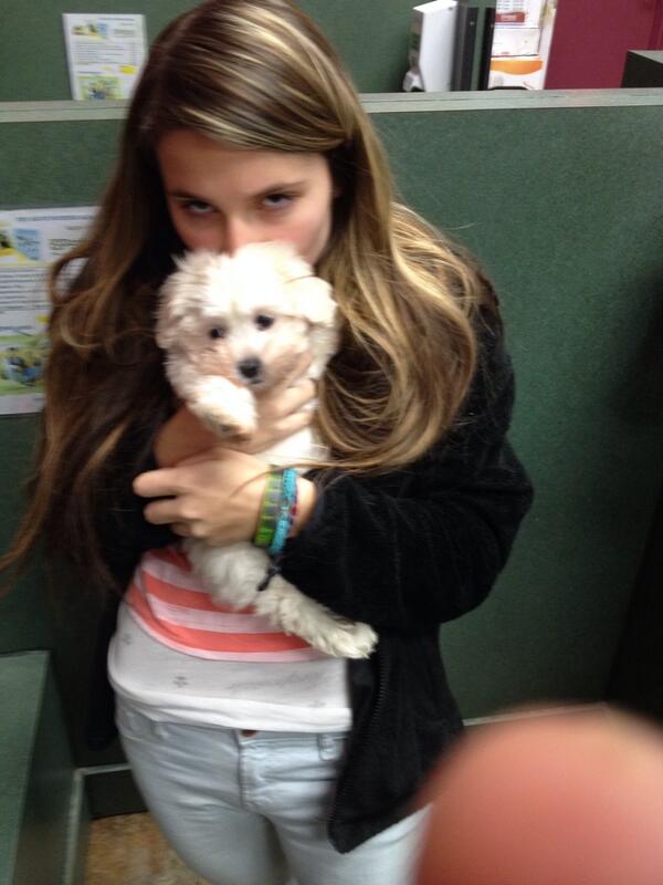 RedmanRege's tweet photo. Puppy shopping http://t.co/al2RXvy9Qa