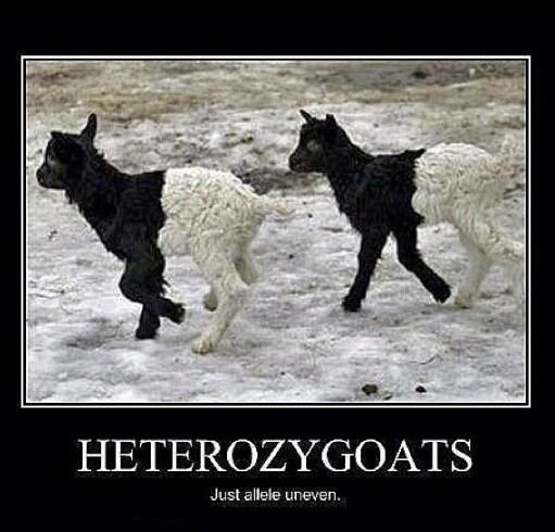 stringgreenbean's tweet image. This had me Rollin 😂