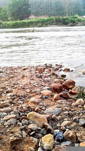 anneloveworld's tweet photo. http://t.co/QJHIVQPmWM