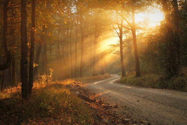 진정한 친구란 
그 사람과 같이 그네에 앉아
한마디 말도 안하고 시간을 보낸 후 
헤어졌을 때, 
마치 당신의 인생에서
최고의 대화를 나눈 것 같은 
느낌을 주는 사람입니다