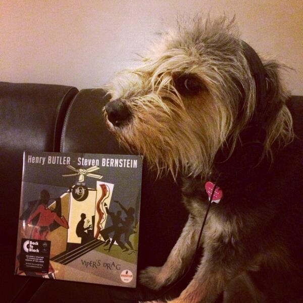 pianobutler's tweet photo. We got love for #jazzdogs too! Especially when they've got love for us. @ButlerBernstein http://t.co/wQ3DkpClml. http://t.co/OqhQh6ggBA