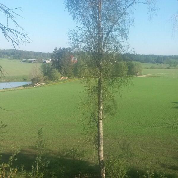 SaanoSaano's tweet photo. Hyvät huomenet täältä Liljendalista. #kartano #katonmaalaus #housetek #lasiesta @KimmoNurmi @Raxu82 http://t.co/7XAvW22Czg