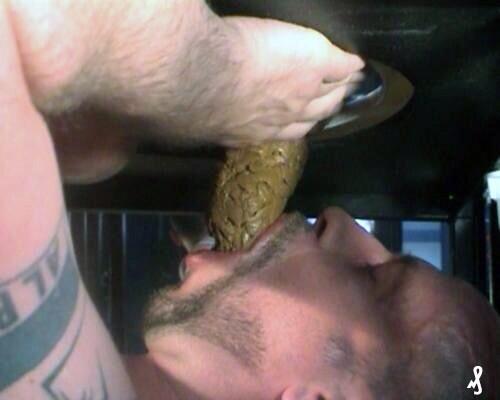 rob26supranowic's tweet photo. EAT MY SHIT💩 #scat #shit #scateat #eatshit #scatlover #teamscat #brownface #brownhanky #scatporn #shitporn #scatslut http://t.co/cXN8pqAzSW