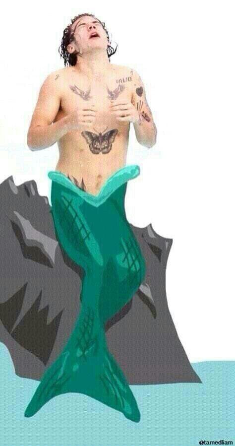 pseudofobie's tweet photo. "@gdrharry: "@seledisongdr: @gdrharry ciao sirenarry!!! http://t.co/Bl1eMRyVnb" ......." *_*