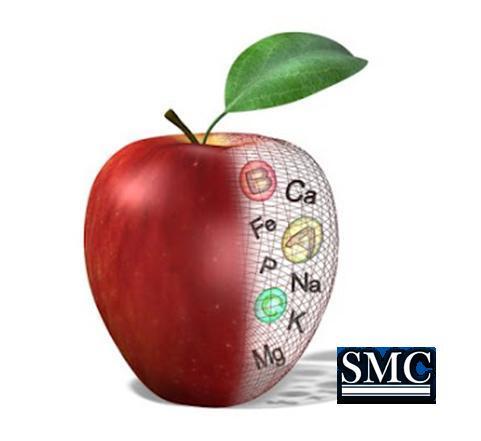 HOW #INNOVATION HAS INCREASED THE #PRODUCTIVITY OF NATURAL #RESOURCES wp.me/p4BG4t-2V via <a href="/Shanghai_Metal/">Shanghai Metal</a>