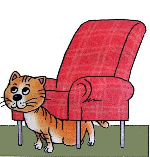 The cat is the chair