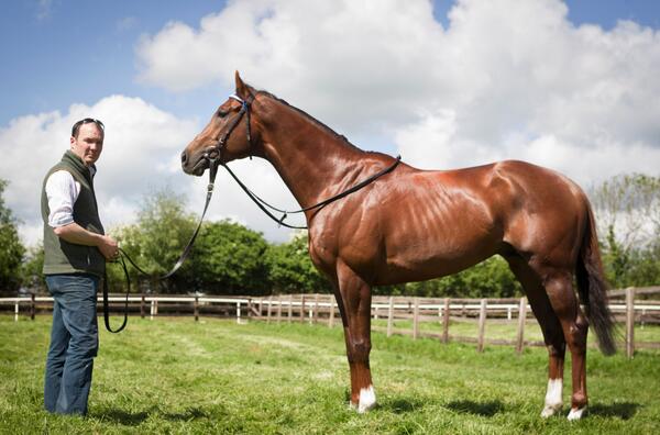HRIRacing's tweet photo. .@deegan_paul gears up for the Guineas @curraghrace with Prince Of All &amp; Avenue Gabriel http://t.co/hMofh8xUCl http://t.co/Ff7a1G7uGn