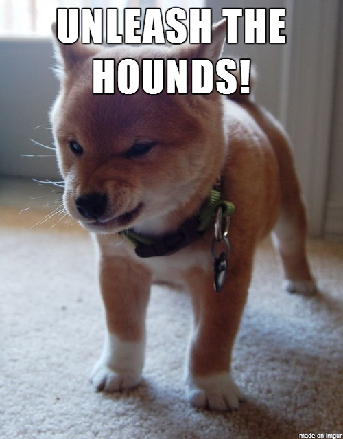 BlizzardSEA's tweet photo. Unleash the Hounds! #Hearthstone http://t.co/99hHQJxPRC