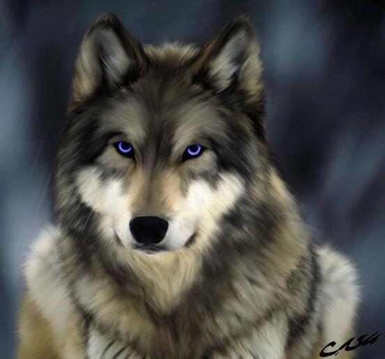 lizwightman's tweet photo. Just Beautiful! http://t.co/8nGEEORWWn