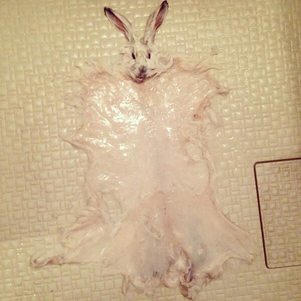 lovepeaceyoutoo's tweet photo. ちはるの森 http://t.co/uSL0hEdbAB とか、新たに命を奪っといて命を語らないでほしい。食の為に産まれ虐待飼育の末殺されたのに廃棄されてる命からまずどうにかしてください。 http://t.co/TMzMNvr0rD
